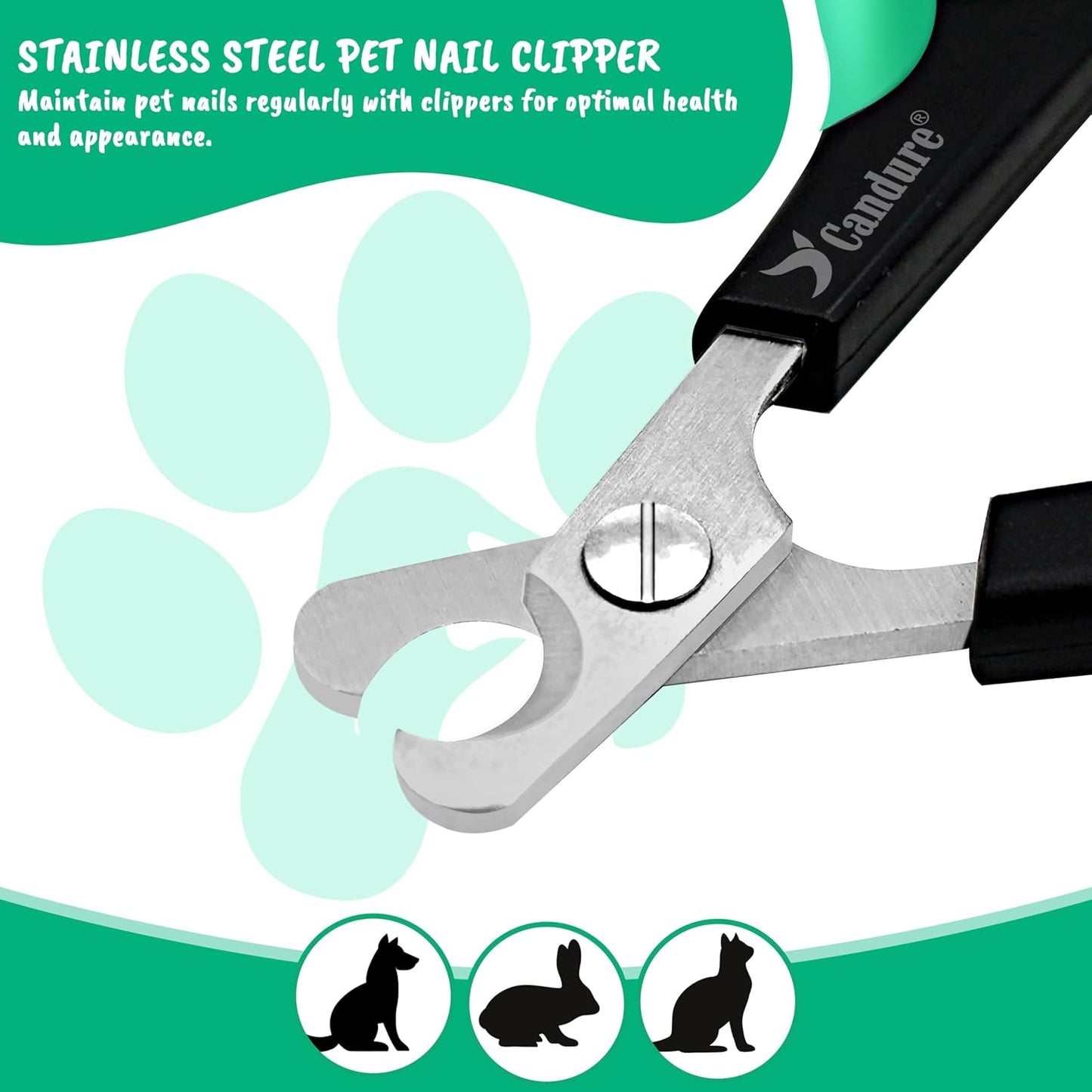 Stainless Steel Cat Nail Clippers - Professional Pet Nail Trimmers for Small Animals, Including Rabbits, Guinea Pigs, Birds, Puppies, and Kittens (3.5", Green)