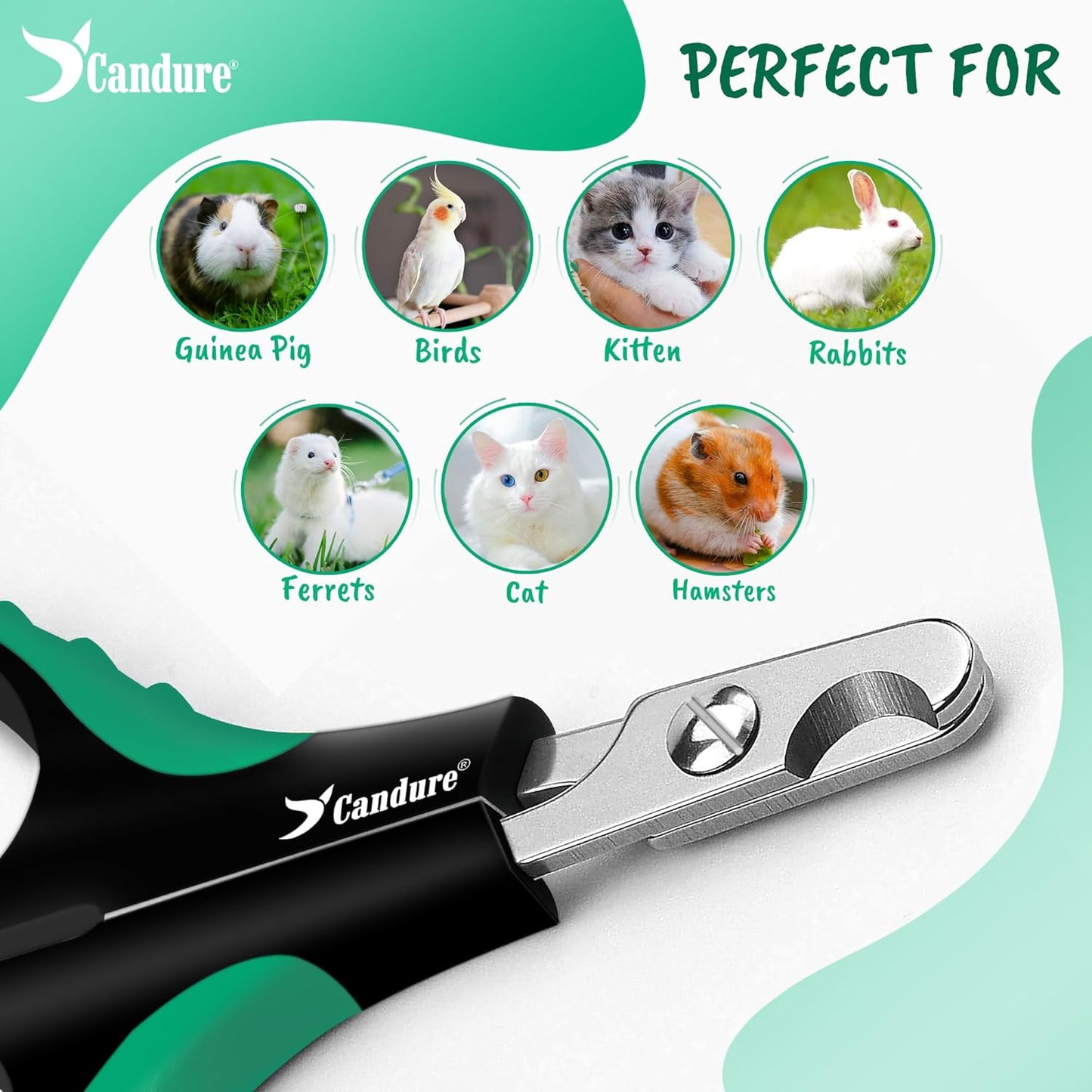 Stainless Steel Cat Nail Clippers - Professional Pet Nail Trimmers for Small Animals, Including Rabbits, Guinea Pigs, Birds, Puppies, and Kittens (3.5", Green)
