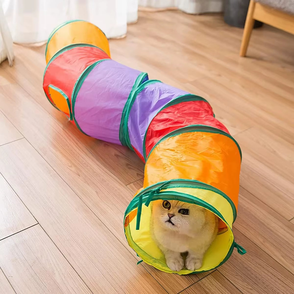 Foldable Cat Tunnel - Interactive Training Toy for Kittens and Puppies, Ideal for Pet Play and Enrichment