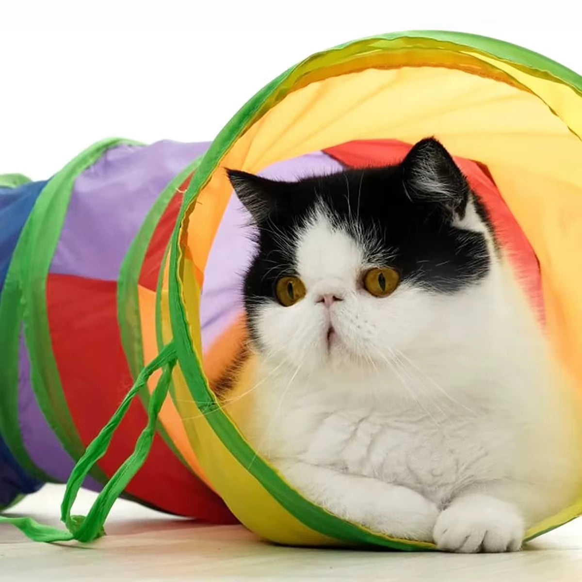Foldable Cat Tunnel - Interactive Training Toy for Kittens and Puppies, Ideal for Pet Play and Enrichment