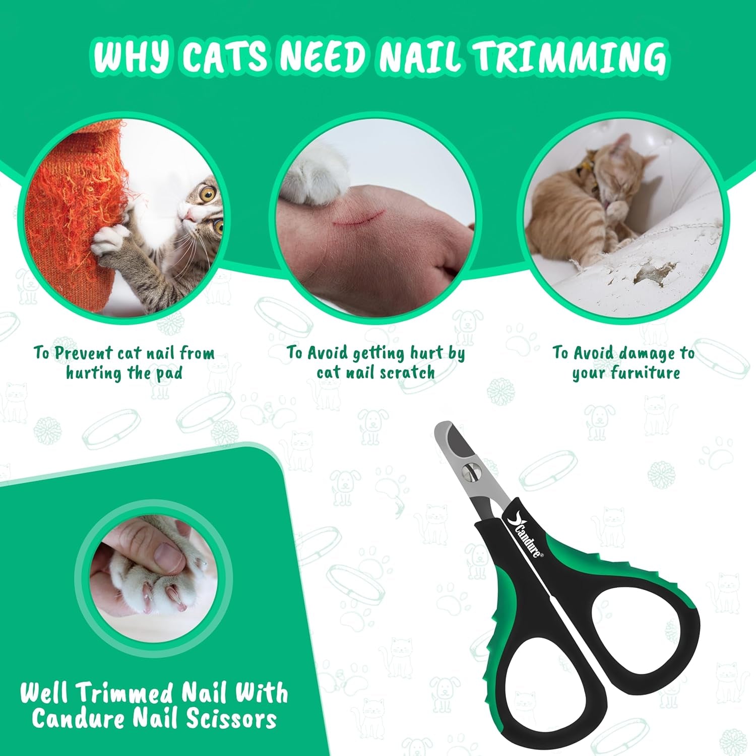 Stainless Steel Cat Nail Clippers - Professional Pet Nail Trimmers for Small Animals, Including Rabbits, Guinea Pigs, Birds, Puppies, and Kittens (3.5", Green)