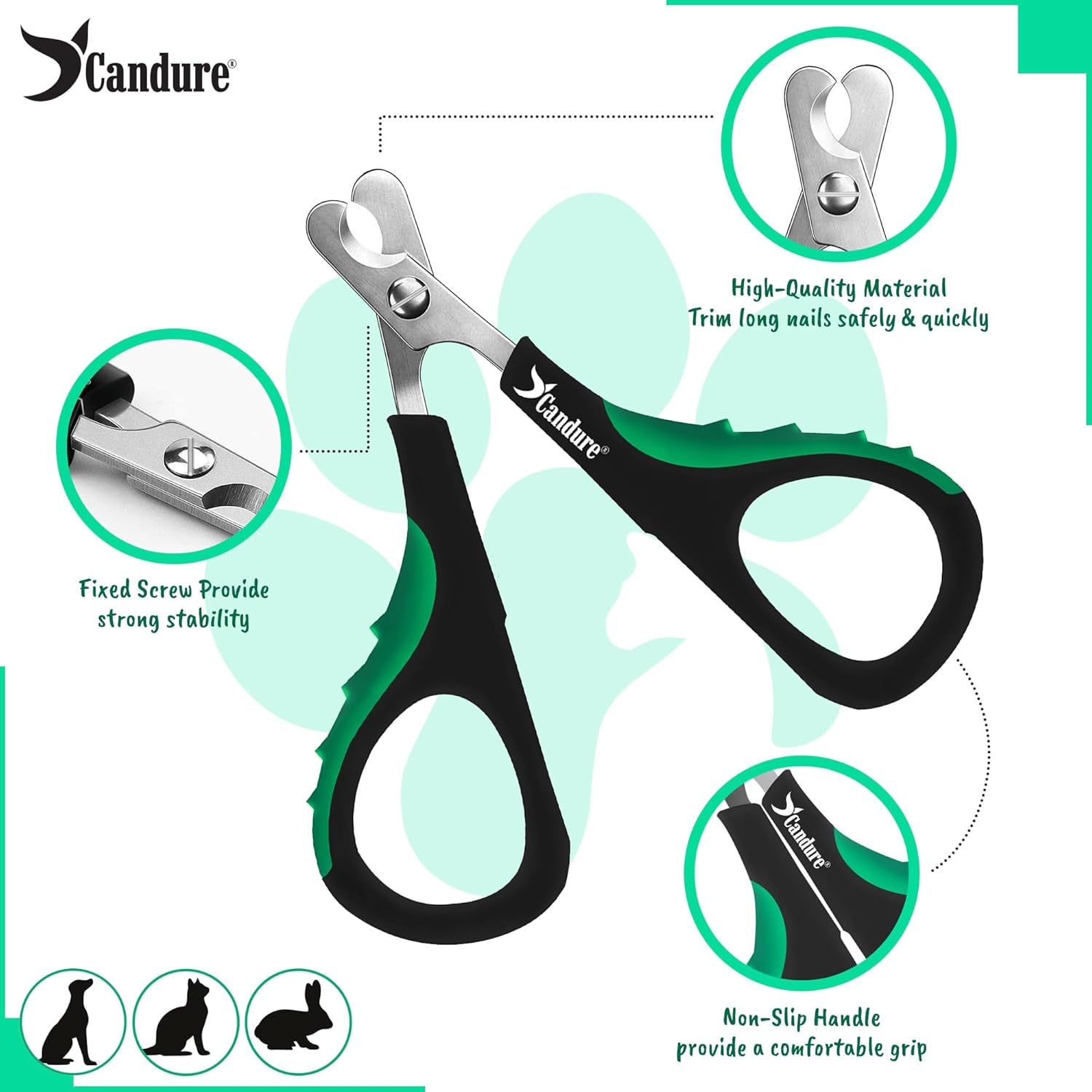 Stainless Steel Cat Nail Clippers - Professional Pet Nail Trimmers for Small Animals, Including Rabbits, Guinea Pigs, Birds, Puppies, and Kittens (3.5", Green)
