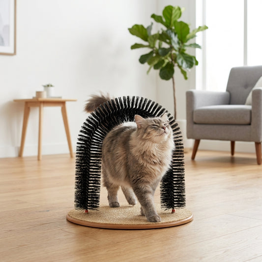 Cat self-groomer arch - cat rubbing through bristle brush arch in modern home