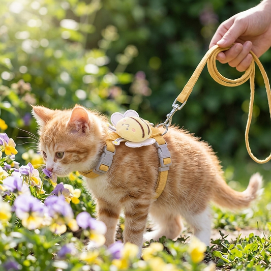 Cartoon bee cat harness and leash - cat walking in sunny garden